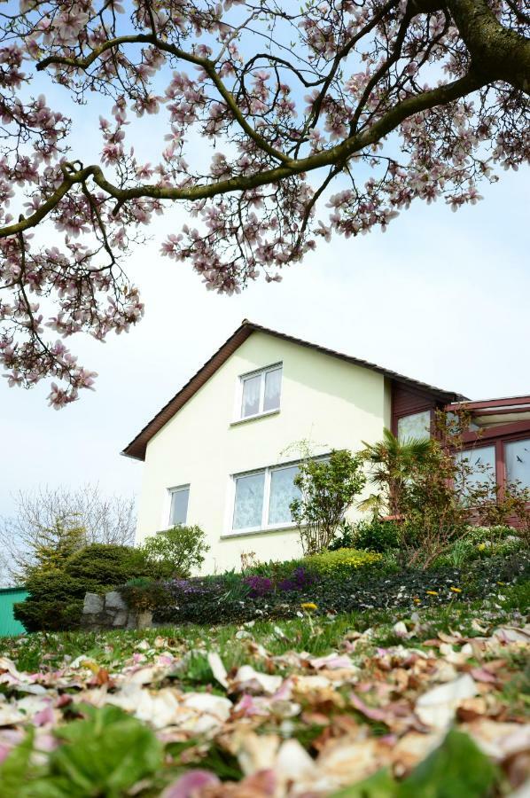 באד בלינגן Ferienwohnung Rheinblick מראה חיצוני תמונה